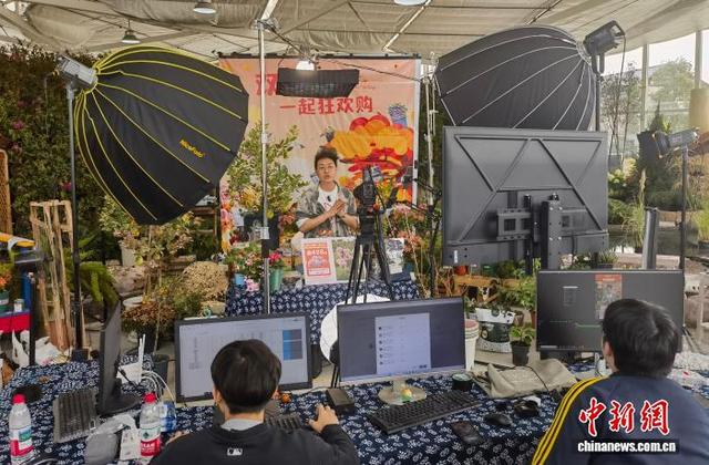 图为11月11日，浙江省桐乡市崇福镇的崇福农创园内，当地一农创客团队进行直播。王逸飞 摄