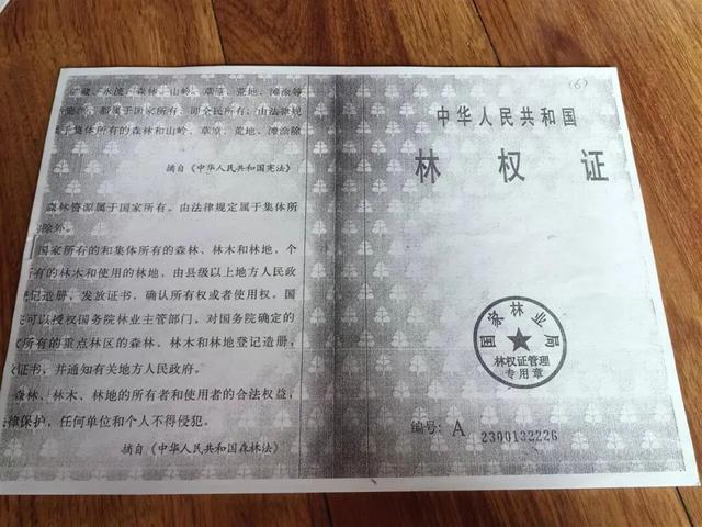 张丽的林权证，图源：受访者