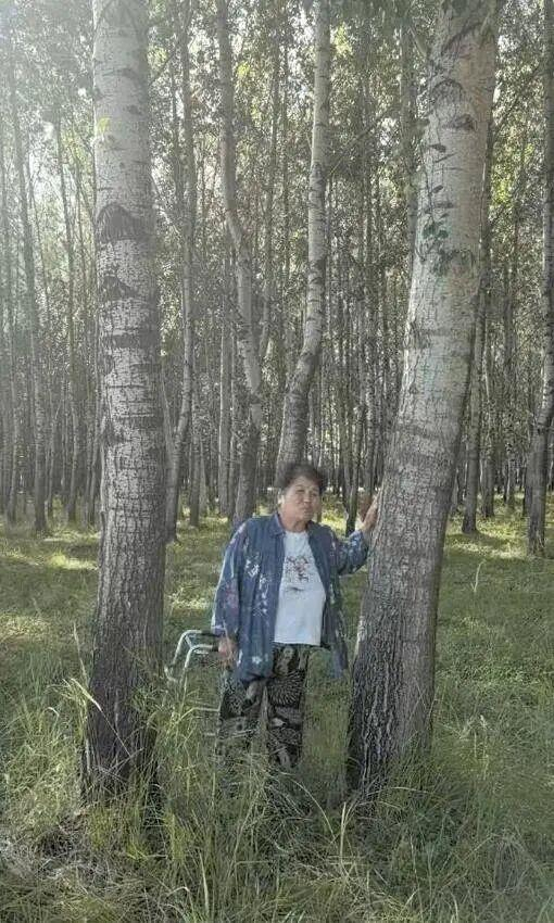王桂菊和她的杨树，图源：视频截图（今年8月拍摄）