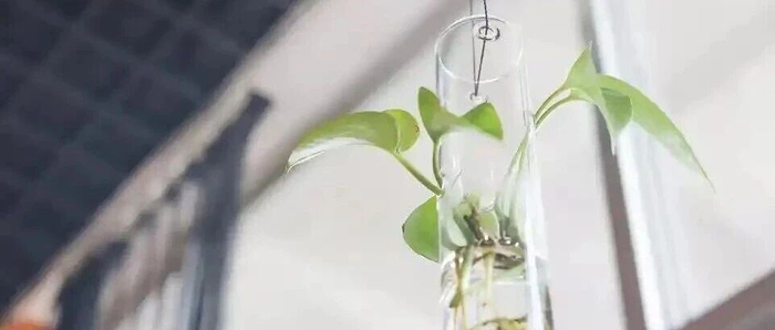 离婚教会我的事