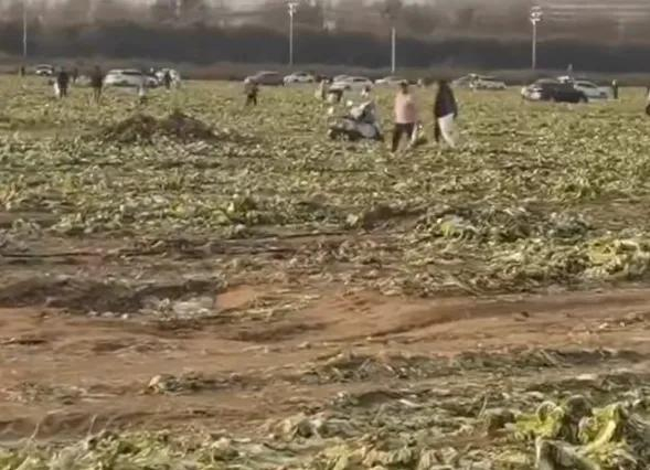 图源：潇湘晨报
