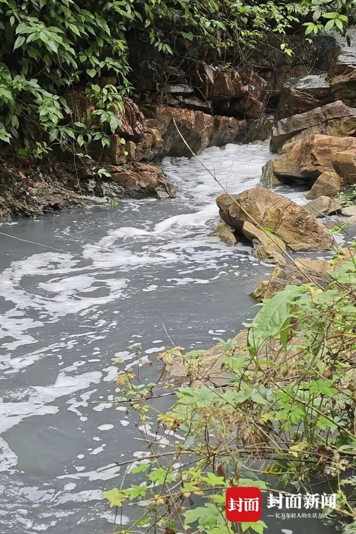 污染水体呈明显的灰黑色,并伴随有臭味。