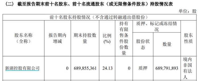 （信息来源：湘财股份2025年半年报）