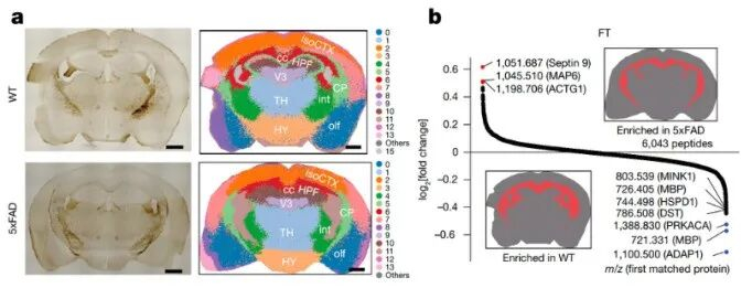（来源：Nature）