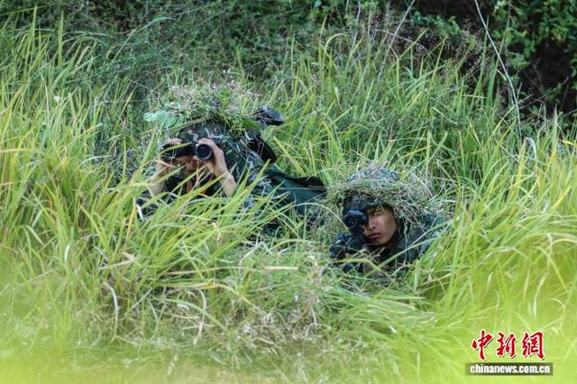 图为武警官兵进行隐蔽狙击训练。李东 摄 