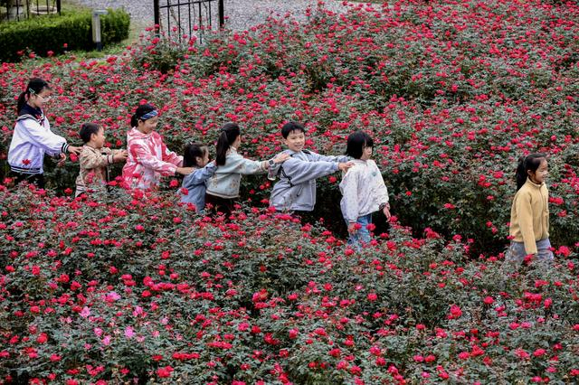 11月12日，浙江湖州市德清县，一群趁着秋假走出课堂的中小学生来到象月湖度假谷研学。视觉中国 图