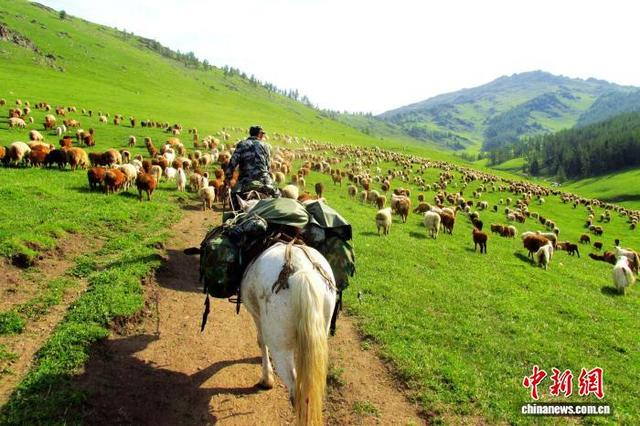 胡拥军进山。朱新宁 摄