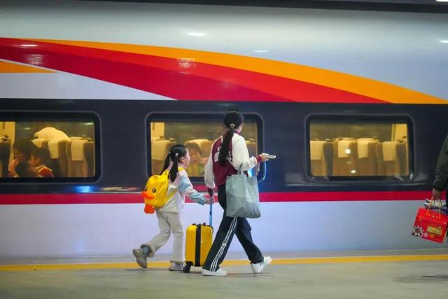 11月12日，成都火车站出行的游客。成都商报 图