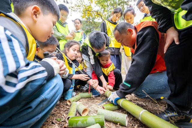 11月12日，浙江湖州，孩子们在林场自然教育基地体验森林拾柴。视觉中国 图
