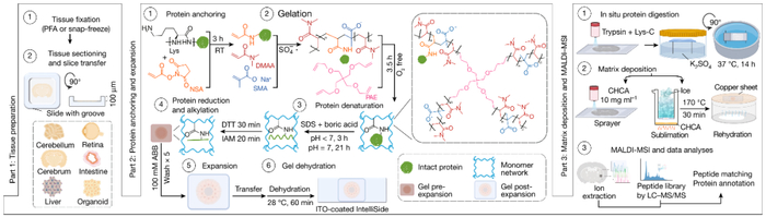 （来源：Nature）