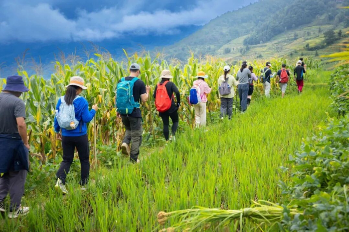 图源：“云南红河发布”微信公众号