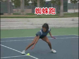 一天一个专业网球步法训练视频（2）蜘蛛跑