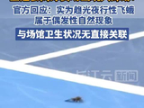 辟谣！全运会赛场出现的是飞蛾并非蟑螂