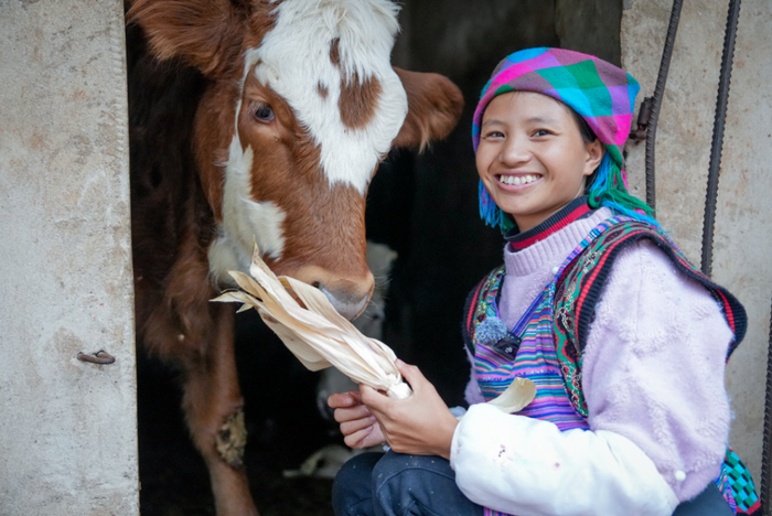 云南百万粉丝网红小英的丈夫被刑拘：酒后肇事逃逸致人重伤