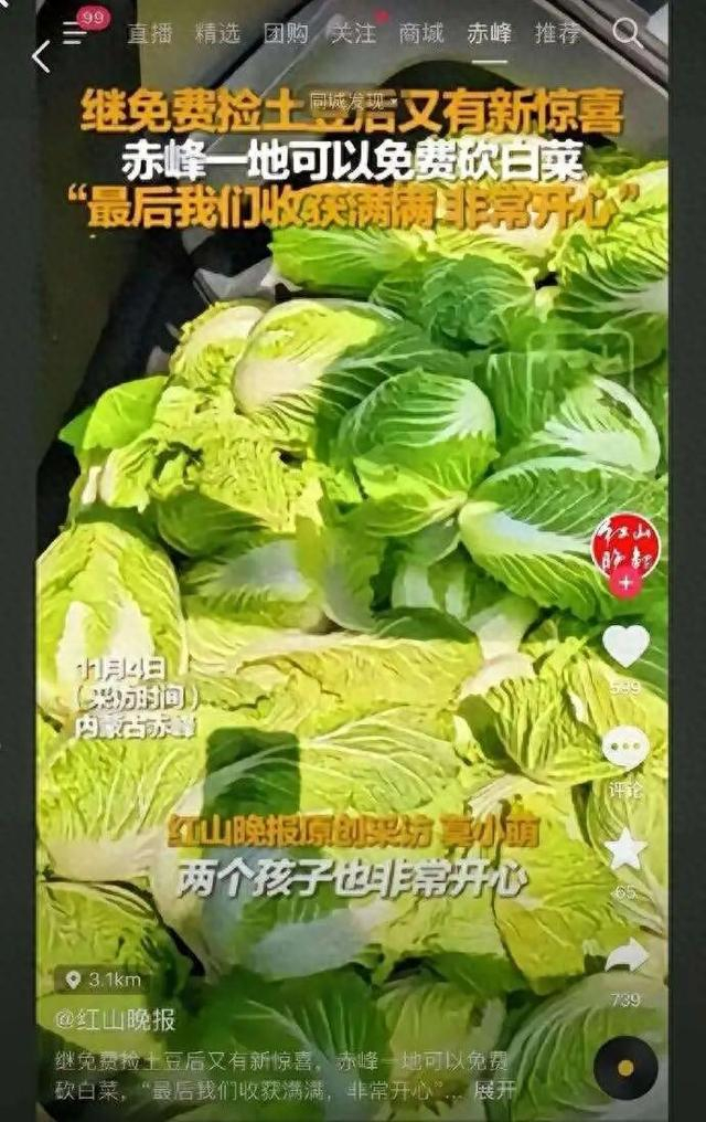图片来源：红山晚报