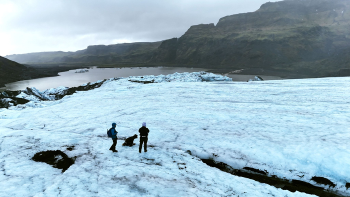 全球“无蚊净土”沦陷，跟气候变化有多大关系？