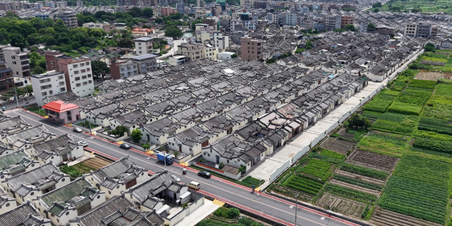 白坑村航拍。受访者供图