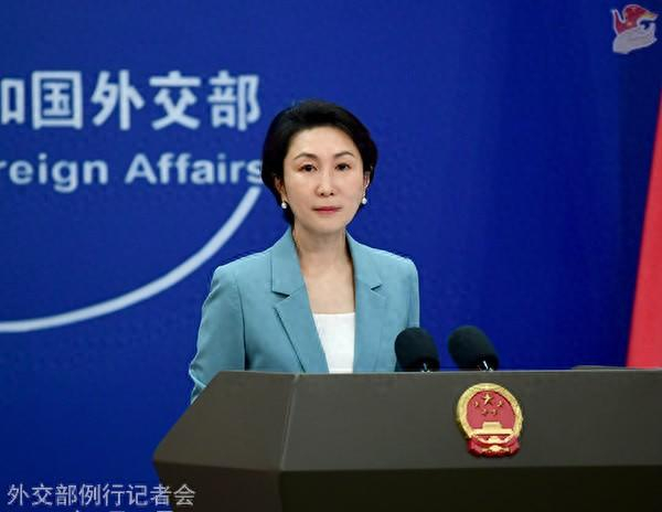 毛宁资料图。图源：外交部网站