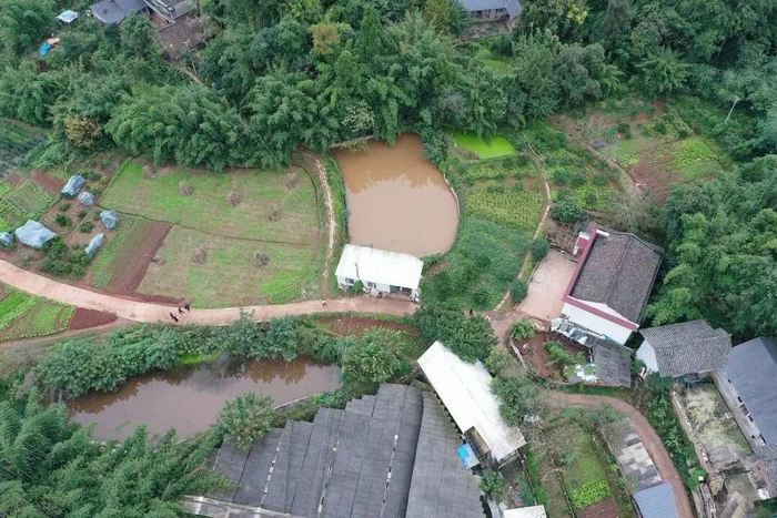启缘胡蜂养殖场紧邻村民的居住区。（中间白色长方形建筑）