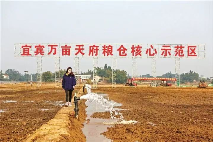 刘满润的苗圃被毁后，这一片土地成了天府粮仓宜宾示范区项目所在地。受访者 图