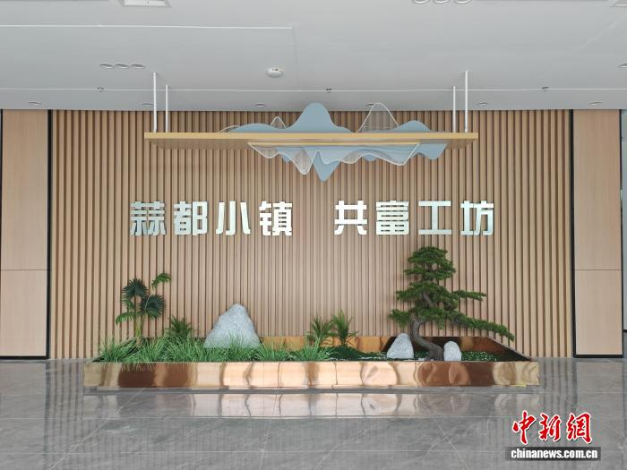 “中国大蒜之乡”济宁金乡乡村振兴的“共富密码”|乡村振兴|金乡|济宁市_新浪新闻