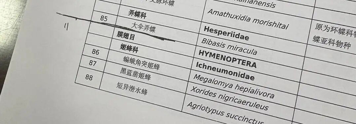 自然资源局拿出的野生动物名录。