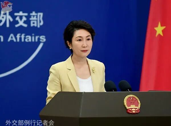 毛宁资料图。图源：外交部网站