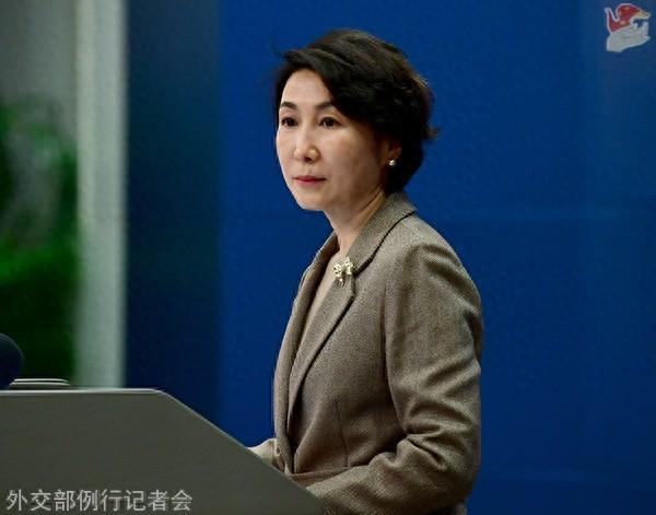 毛宁资料图。图源：外交部网站