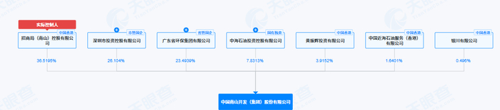 中国南山股权结构示意图&nbsp;界面新闻截图自天眼查
