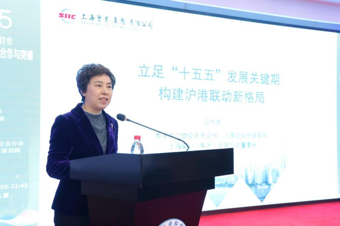 2025年沪港合作与发展研讨会召开——共商全球贸易新形势下的沪港合作与突破(图6)