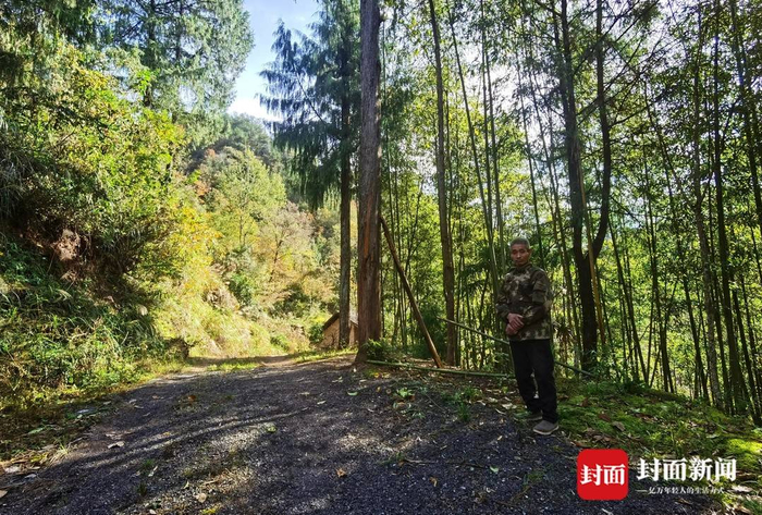 跨越30年的重逢与叩问：一家三口被拐，只剩父女的团聚为何“迟到”？｜封面头条