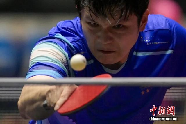 图为樊振东在比赛中。中新网记者 陈永诺 摄