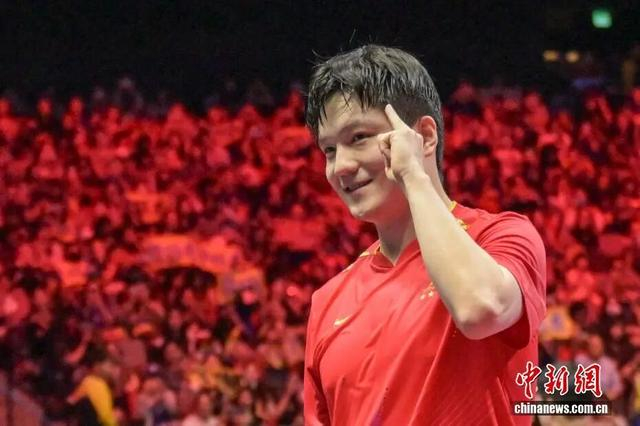 图为樊振东庆祝胜利。中新社记者 陈永诺 摄