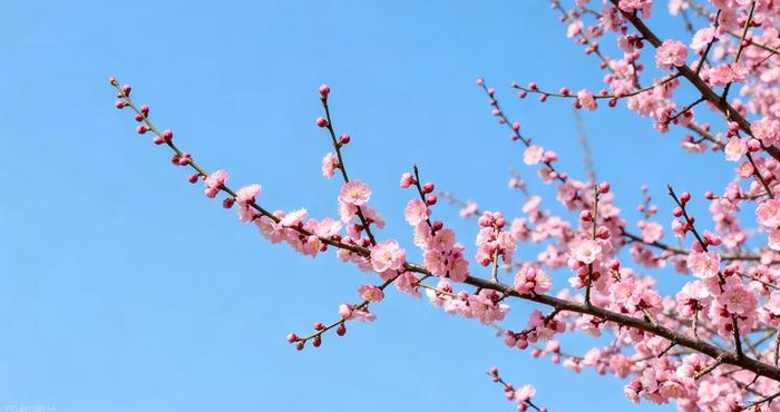 女人，在以下事上，对你越是主动，越是不爱你