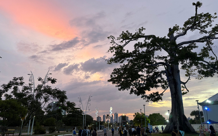 巴西帕拉州首府贝伦。受访者供图