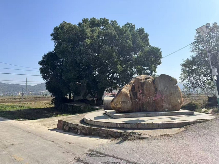 “博导”郭伟的双面人生：江西小镇高中毕业，村里不确定其是否上过大学