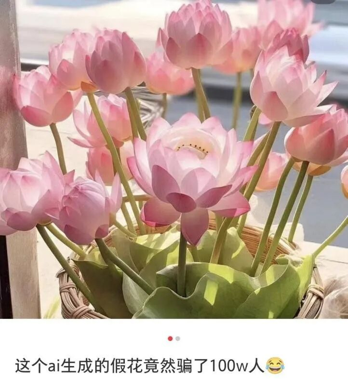 图源：小红书