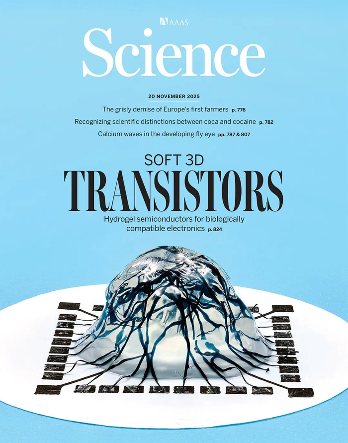 登上Science封面:中国科学家首创毫米级“大脑晶体管”,打破电子器件与生命系统之间的鸿沟__财经头条__新浪财经
