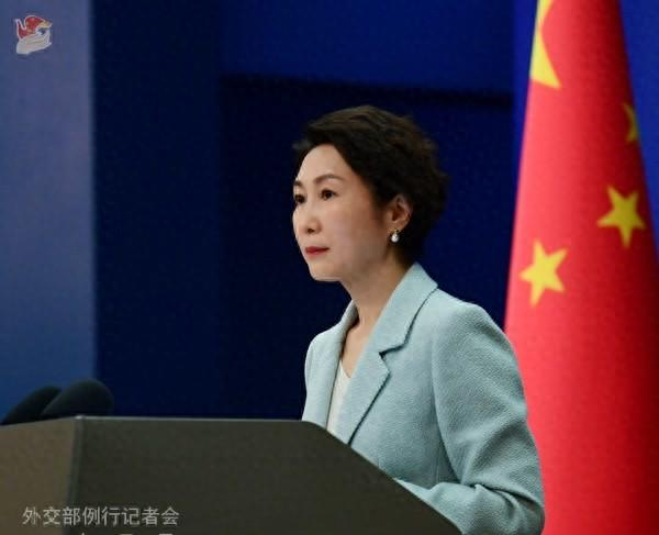 毛宁资料图。图源：外交部网站