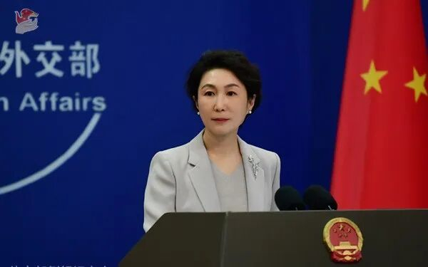 毛宁 资料图 图源：外交部网站