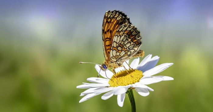 男人和你“暧昧”，但不爱你的表现