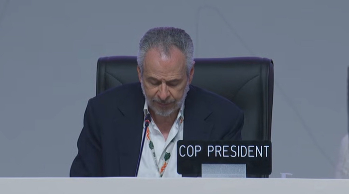 闭幕会上的COP30主席多拉戈。视频截图