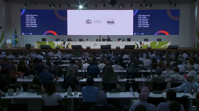 COP30闭幕会现场。视频截图