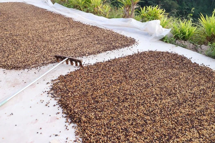 图源：经济观察网