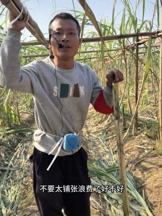 图源据网络