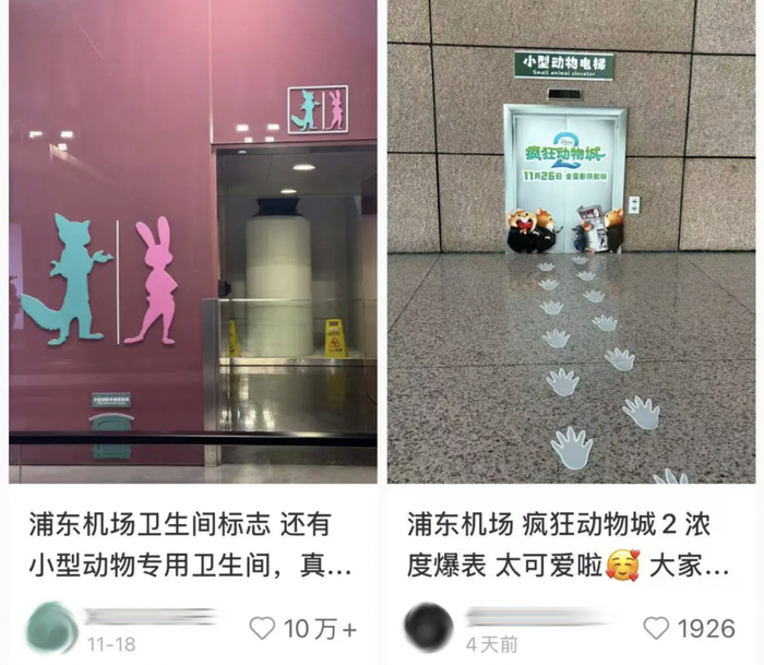 （图/小红书）