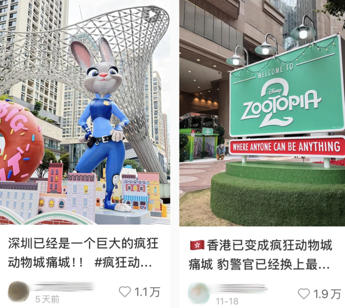 （图/小红书）