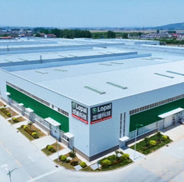 Longpan Technology (603906) Analysis of the Impact of Lithium Iron Phosphate Price Fluctuations on Profits