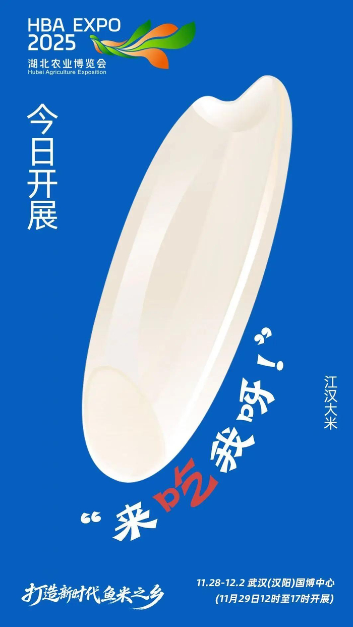 1063能玩什么游戏