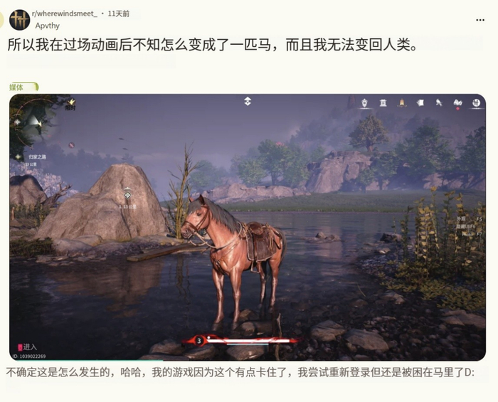 “我尝试重新登录但还是被困在马里了”